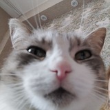 Telegram profile photo for буся
