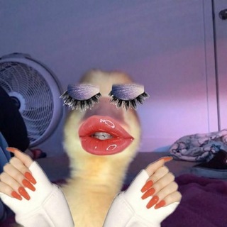 Telegram profile photo for Funny World 🤣