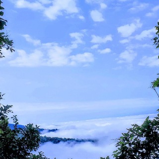 Telegram profile photo for ကဗျာပြတိုက်နဲ့အလွမ်းကမ္ဘာ