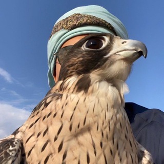 Telegram profile photo for ᷂العمري𓅓 .