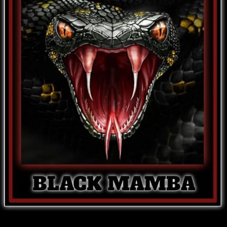 Telegram profile photo for BLACK MAMBA (SAFE DEV ) π