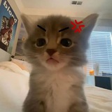Telegram profile photo for deniska766