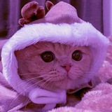 Telegram profile photo for كانون💜