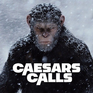 Telegram profile photo for Caesars Calls