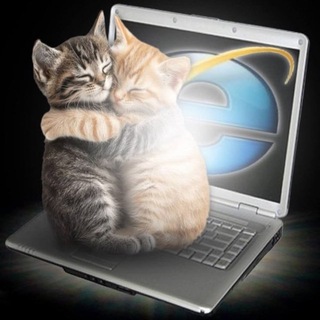 Telegram profile photo for R²N