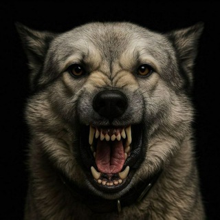 Telegram profile photo for Леди среди своих🤫