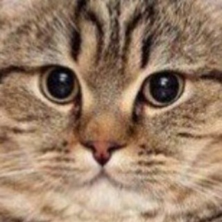 Telegram profile photo for несМЕМшно...