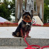 Telegram profile photo for Кадры негренка