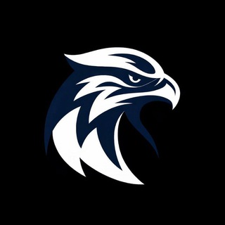 Telegram profile photo for SOKOLVPN