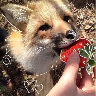 Telegram profile photo for sᴛuᴩidiᴛy ᴛhᴇᴏryඞ