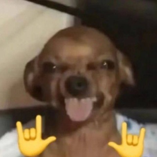 Telegram profile photo for la cucaracha