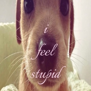 Telegram profile photo for как говорит лика