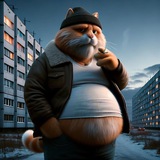 Telegram profile photo for скуф холдер
