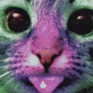 Telegram profile photo for 🇨🇳 愤世嫉俗者的美学