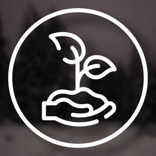 Telegram profile photo for Life Games