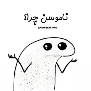 Telegram profile photo for ناموسن چرا؟