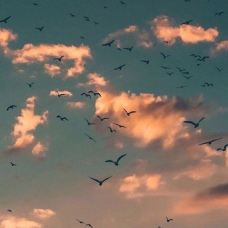 Telegram profile photo for صوتيات قران