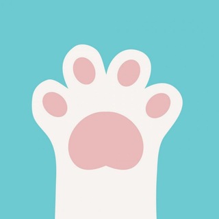 Telegram profile photo for ЛАПКИ | ФЕОДОСИЯ - Всё о питомцах 🐈🐕🐇🦜