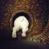 Telegram profile photo for Rabbit Holes (HL)
