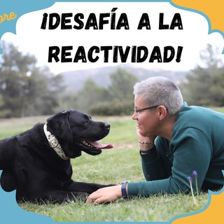 Telegram profile photo for Desafía a la Reactividad