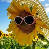 Telegram profile photo for vdoxnii