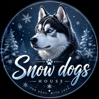 Telegram profile photo for Snow dogs