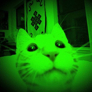 Telegram profile photo for nite vision portal