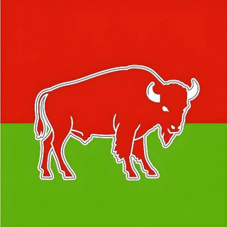 Telegram profile photo for БелРеп