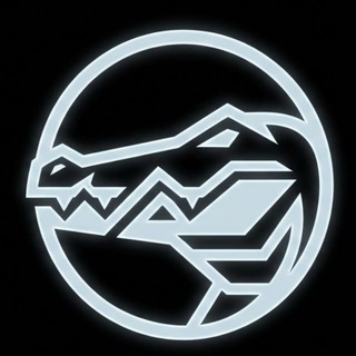 Telegram profile photo for CD Shop (промо, обложки, визуалы…)