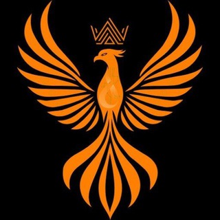 Telegram profile photo for Phoenixopia Solutions