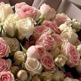Telegram profile photo for خُطـَىٰ لِـلَّا