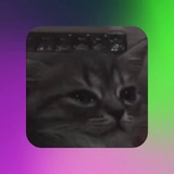 Telegram profile photo for Гоша больше не Гера