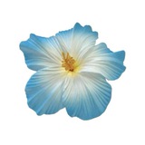 Telegram profile photo for رضایتها