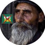 Telegram profile photo for Info OldManBets SinBet