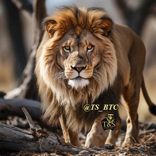 Telegram profile photo for TS_BTC.. تکنیکال