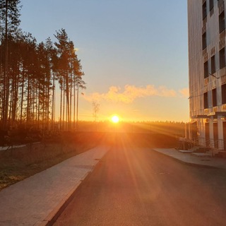 Telegram group profile photo for Про Сертолово