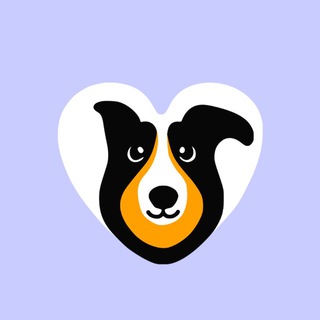 Telegram profile photo for MOSPRIUT - СОБАКИ И КОШКИ ИЗ ПРИЮТА (МОСКВА, МО)