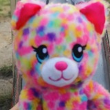 Telegram profile photo for Котики / Cats