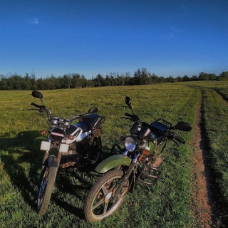 Telegram profile photo for Школьник на альфе