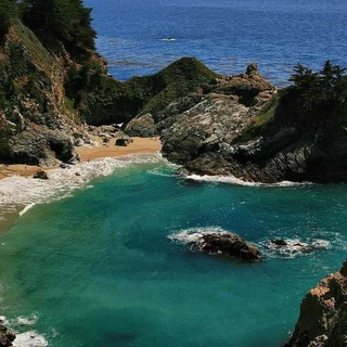 Telegram profile photo for Shanti's natural healing cove