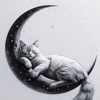 Telegram profile photo for Дом Луны🌙🌚