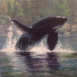 Telegram profile photo for The подвал Шумалин ( ординаторская )🪽