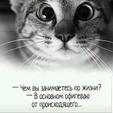 Telegram profile photo for Недвижимость в Ташкенте