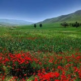Telegram profile photo for تۆرک اۏغلۇ (قیچلویی)