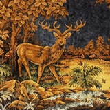 Telegram profile photo for 🌲Лесная фотогазета🌲