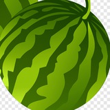 Telegram profile photo for Киндзазарик 🦜