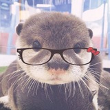 Telegram profile photo for Yuxiiixixixixi