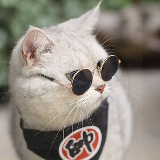 Telegram profile photo for MY REVIEWS+ (SELL)