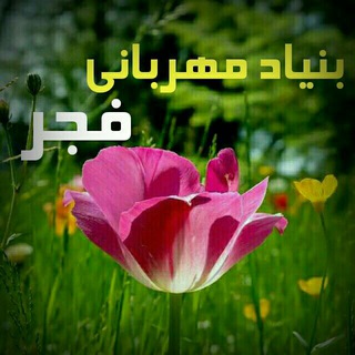 Telegram profile photo for بنیاد مهربانی فجر