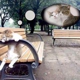 Telegram profile photo for я НЕ быдло